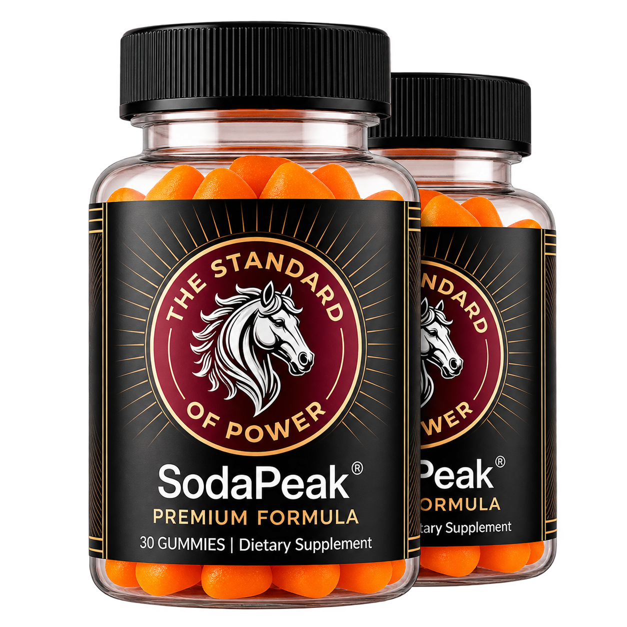 SodaPeak 2 bottles package