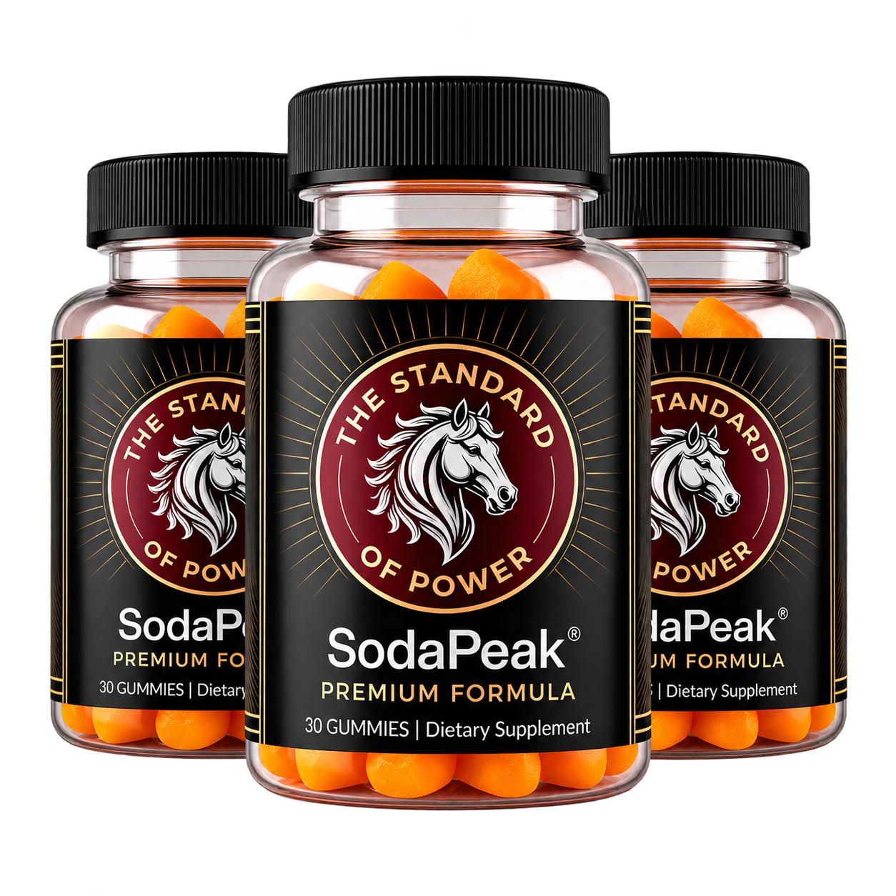 SodaPeak 3 bottles package