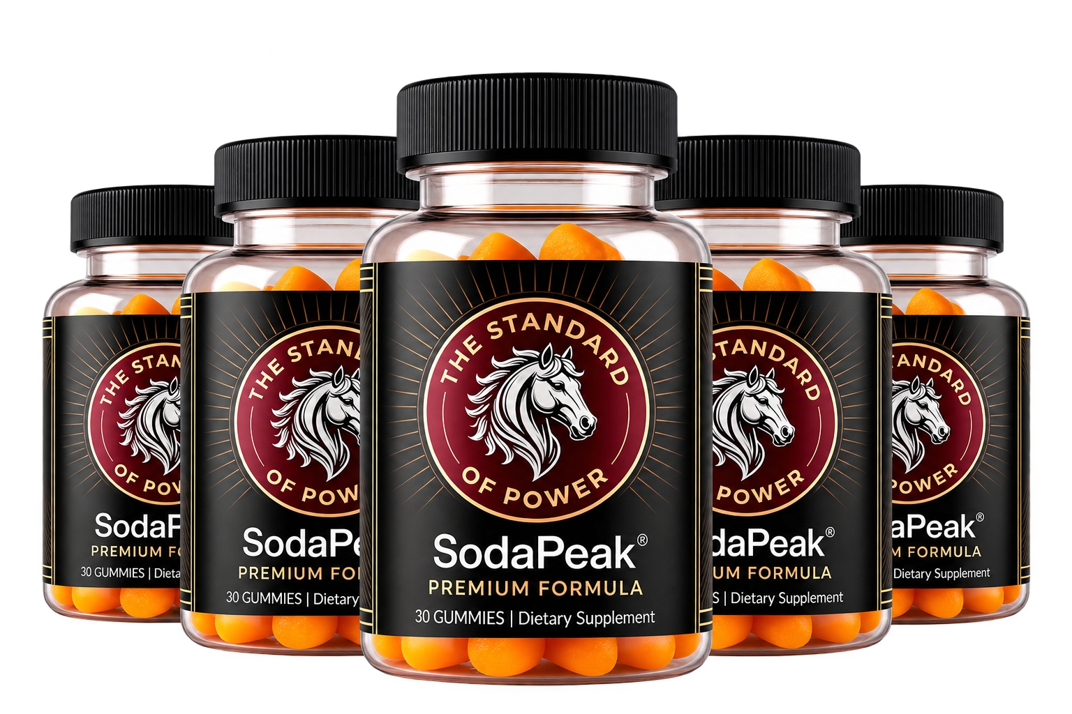 SodaPeak 6 bottles package